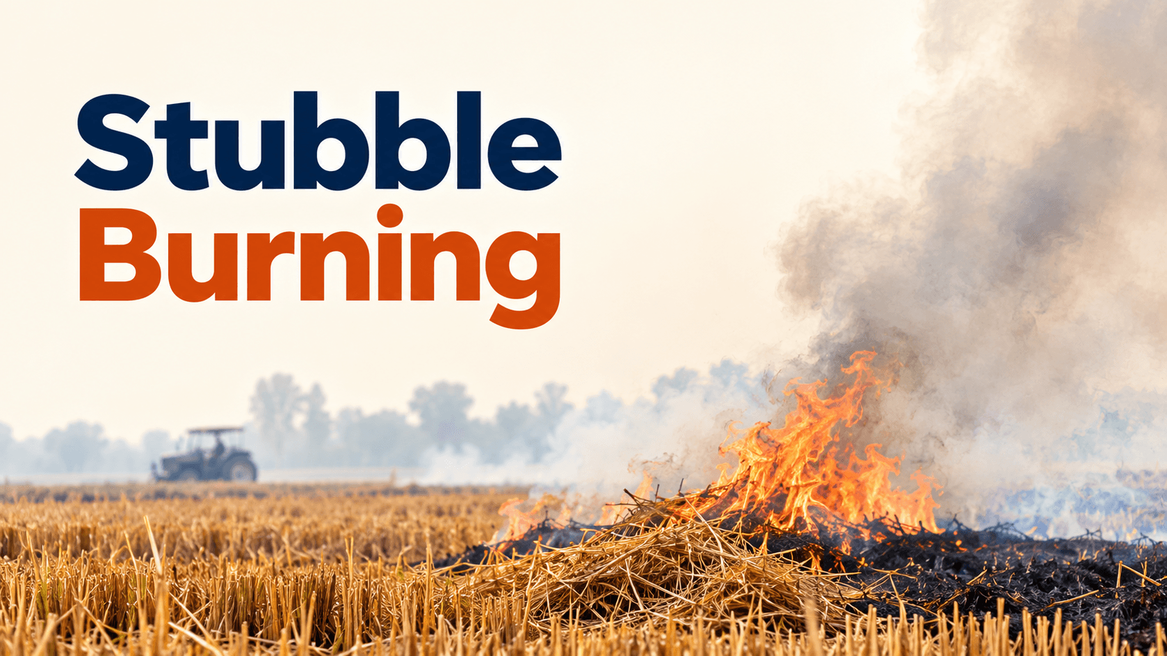 Stubble Burning: Smoke Without Solutions?